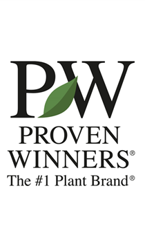 PW Logo Homepage (2).png